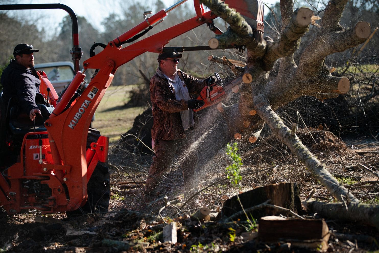 two people cut down and move a tree