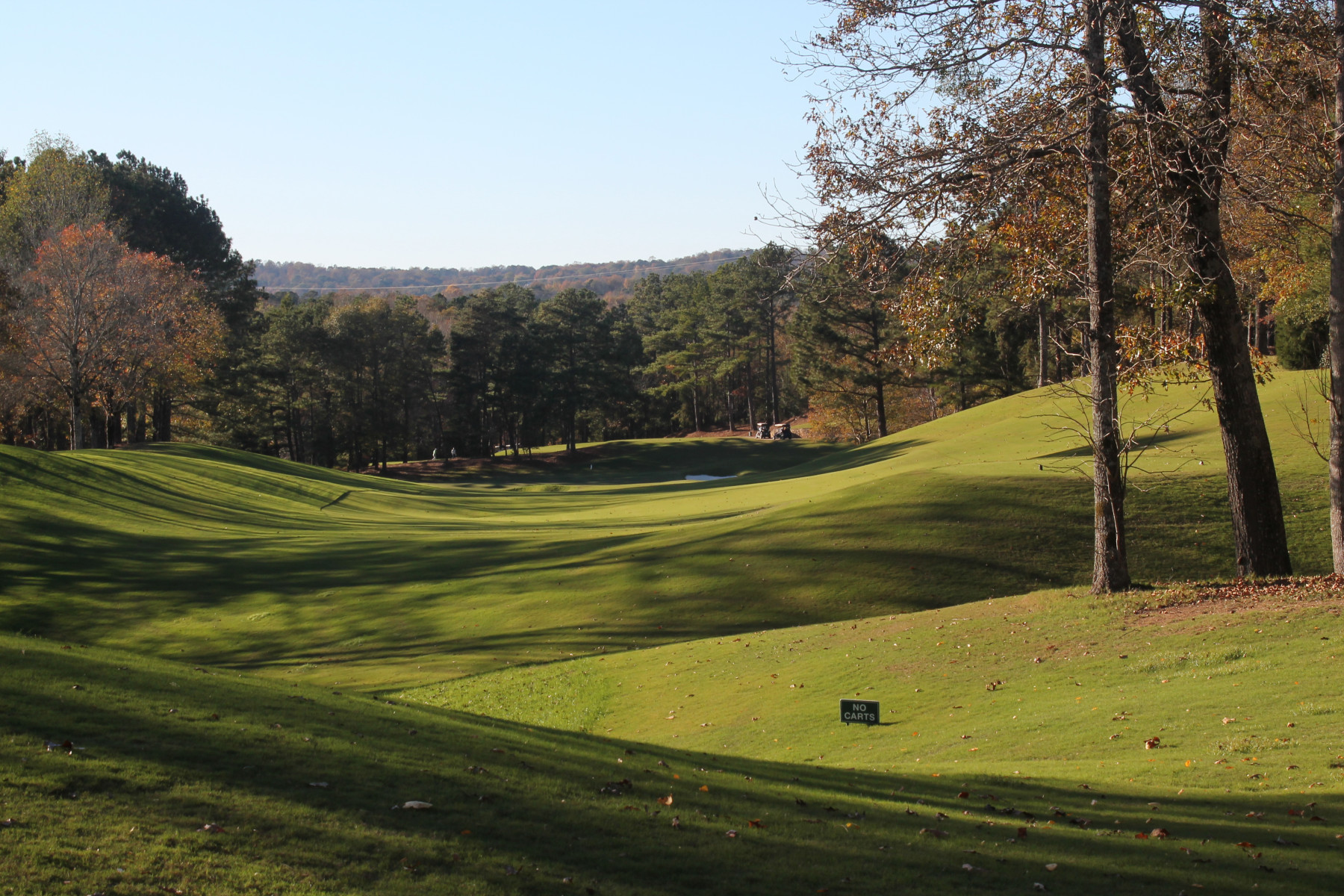 A shot of the green with trees surrounding