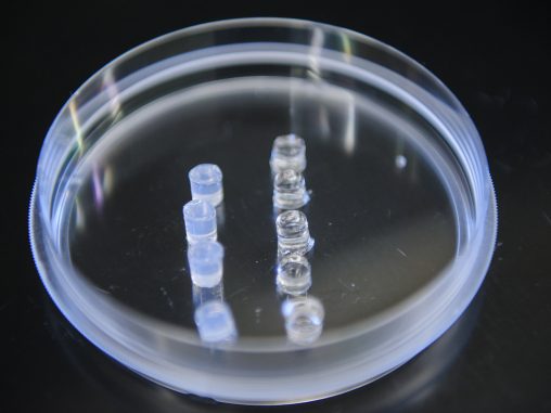 A petri dish with 9 dots of hydrogel