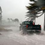 A storm blowing palm trees and a car goes through harsh rain and floods