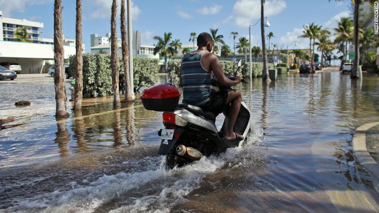 Man on a motorcycle going down a flooded street with palm trees lining the way